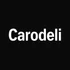 Carodeli — производитель высококачественных мясных деликатесов, сочетающий современные технологии и классические методы приготовления.